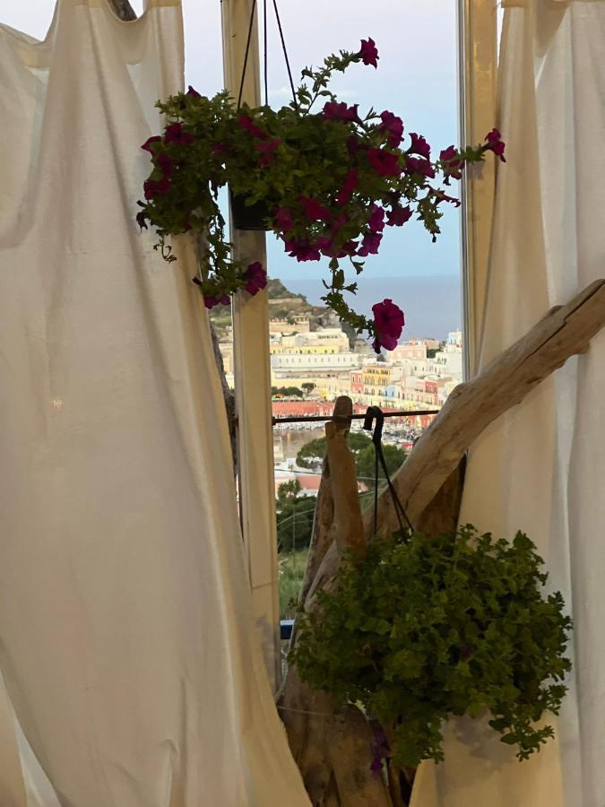 Villa Isabella פונזה מראה חיצוני תמונה