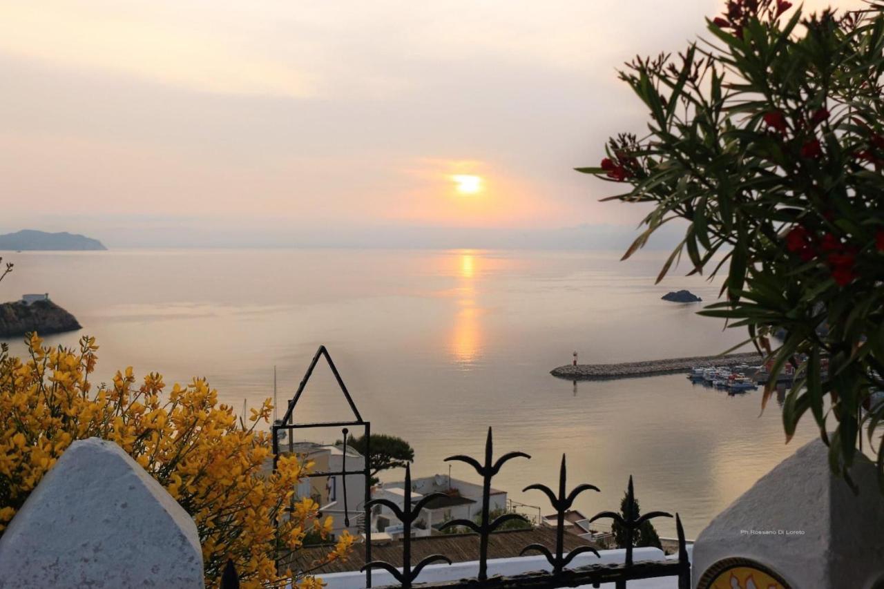 Villa Isabella פונזה מראה חיצוני תמונה